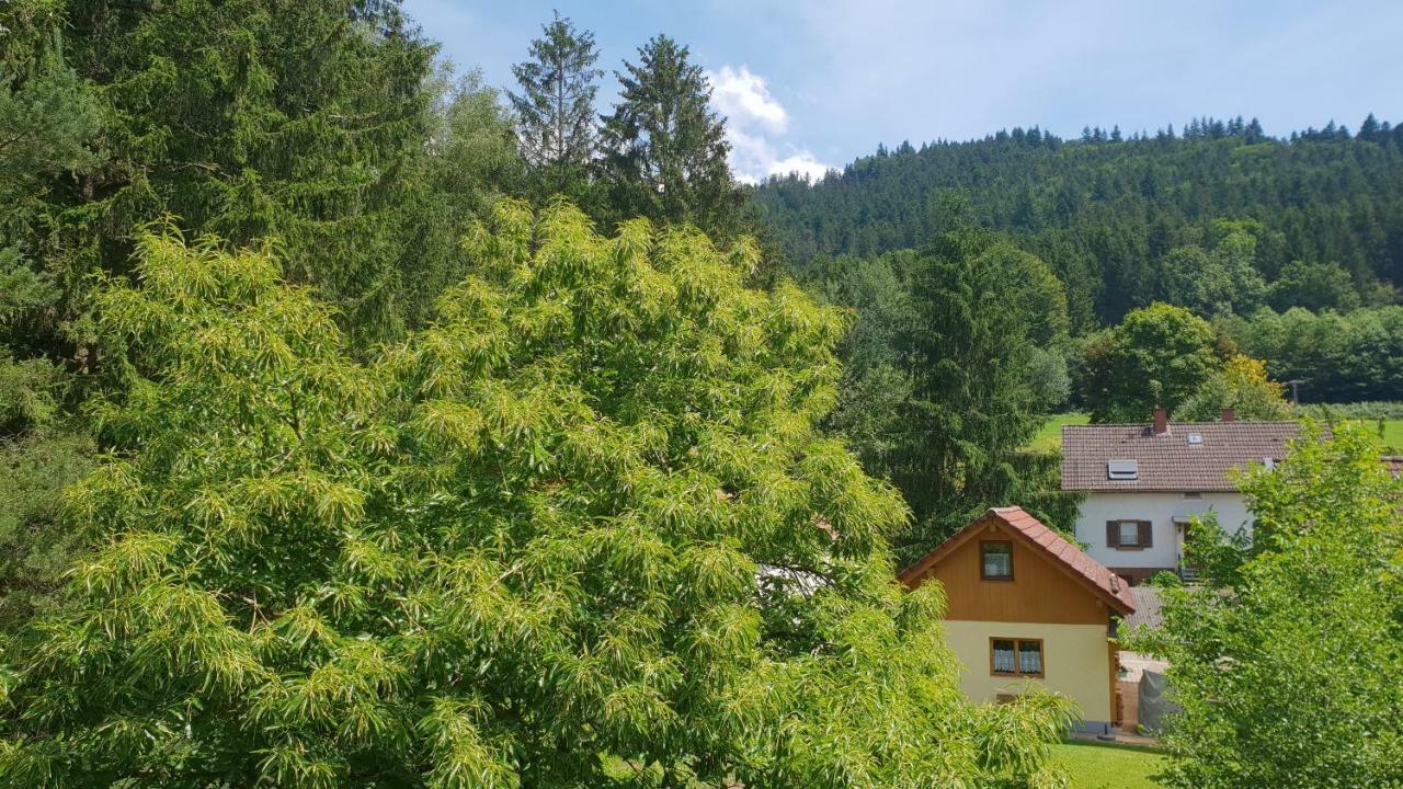 Silberkoenig Schwarzwald Hotel & Restaurant Ringhotel Gutach im Breisgau Exteriér fotografie