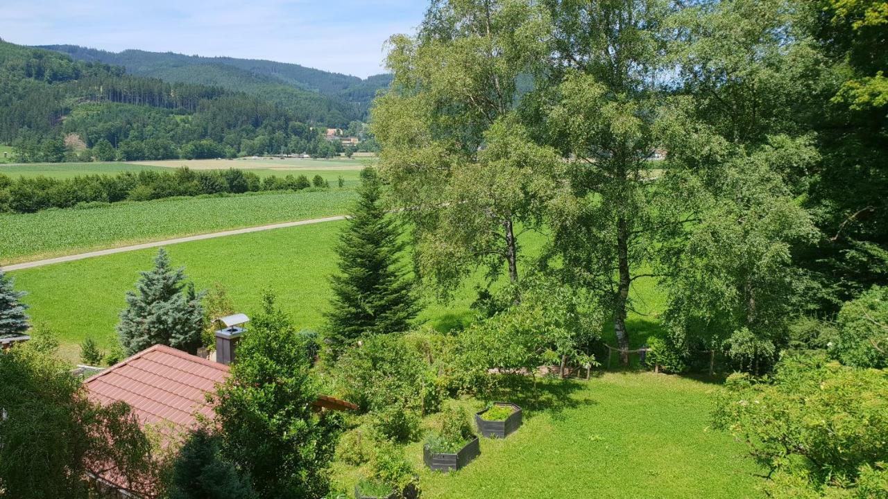 Silberkoenig Schwarzwald Hotel & Restaurant Ringhotel Gutach im Breisgau Exteriér fotografie
